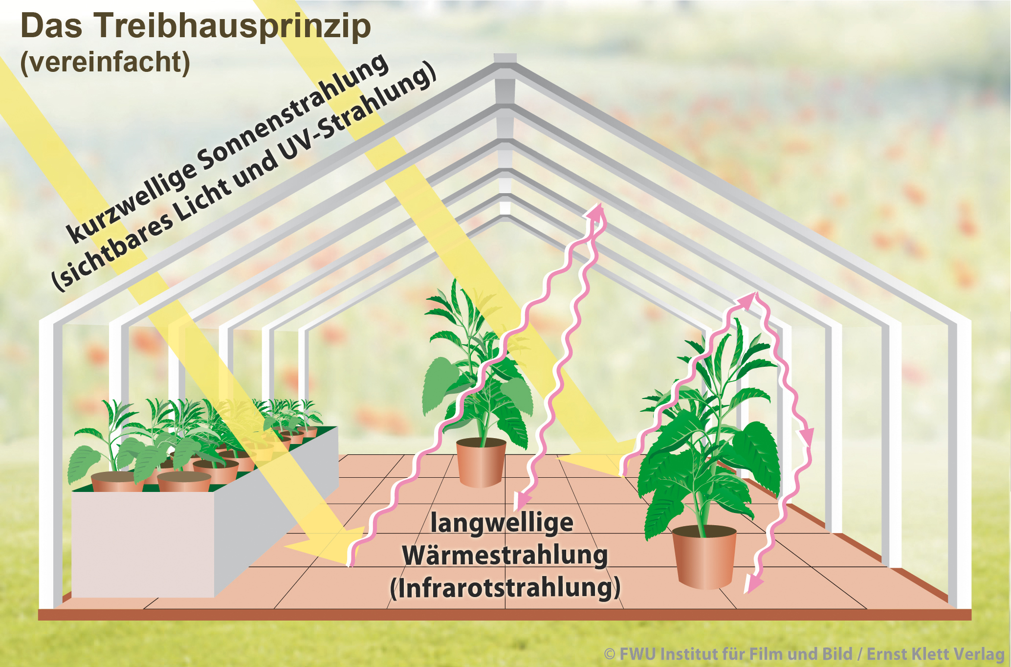 Treibhauseffekt und Ozonloch